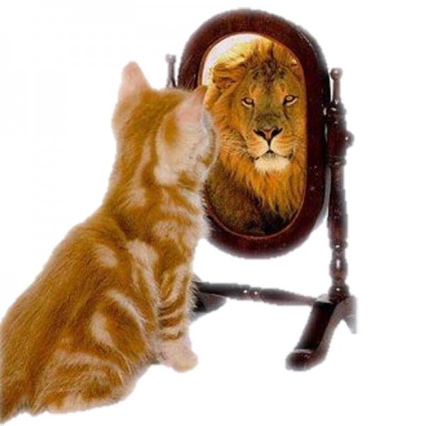 鏡の中では自分をライオンだと思っている猫